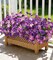 Artificial Outdoor Flowers 20 Bundles UV Resistant Morning Glory with Eucalyptus Purple Gradient